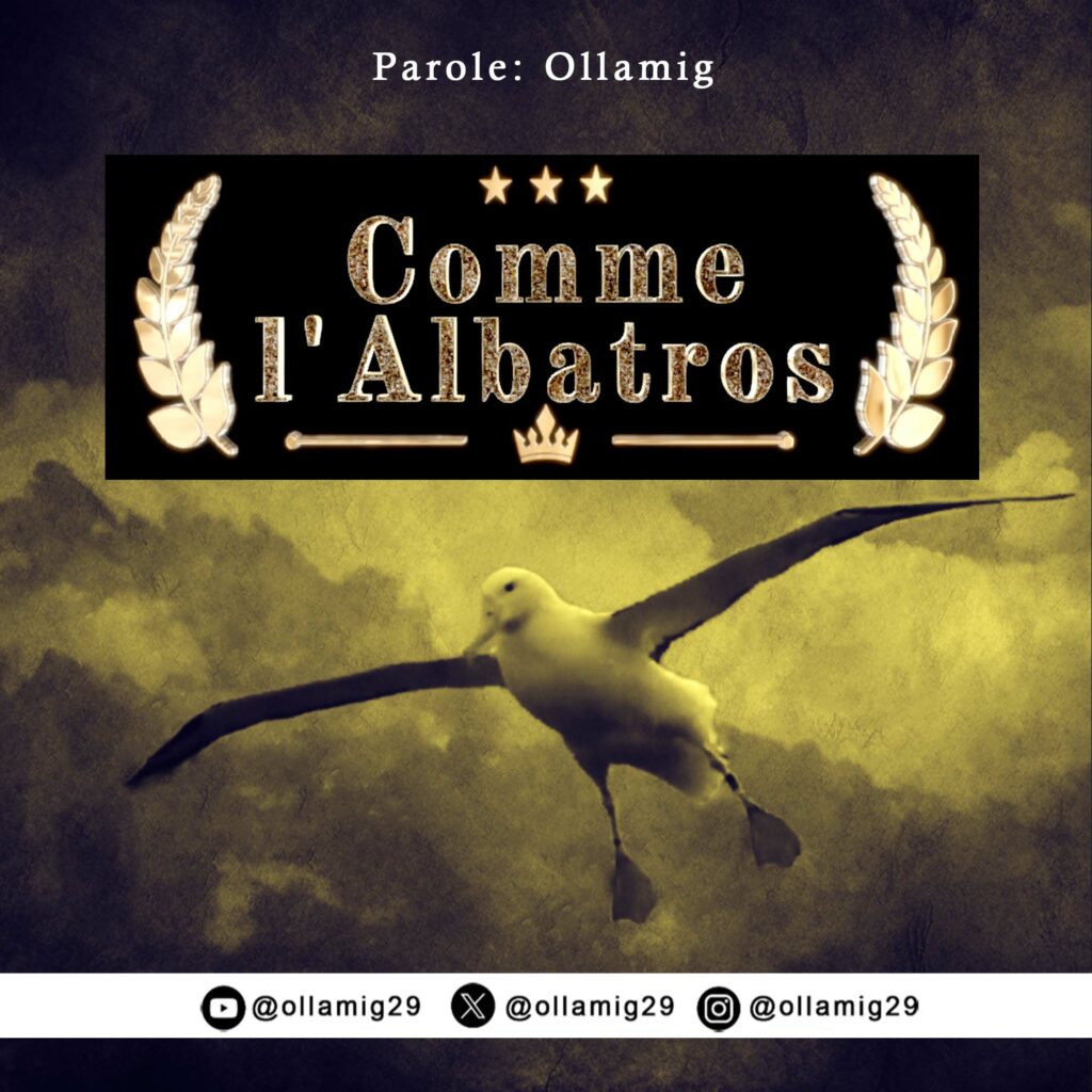 Comme l'Albatros - Ollamig